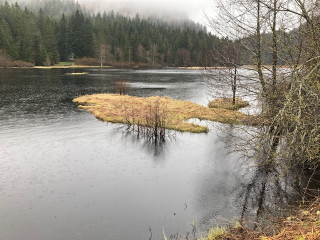 Mercredi 3 avril : matinée sous la pluie…